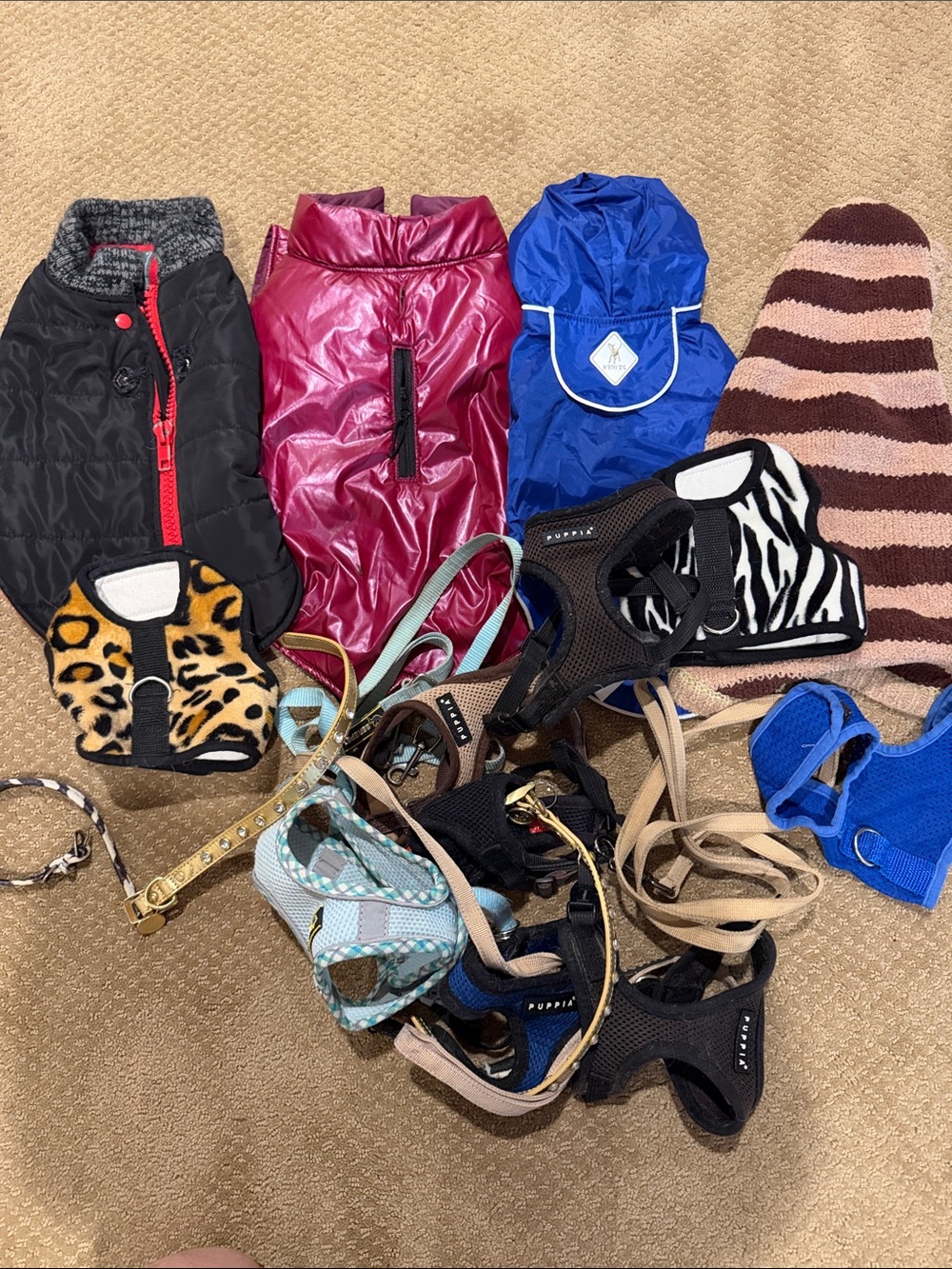 PET DEAL- mix of Jackets and harness and leashes used and new